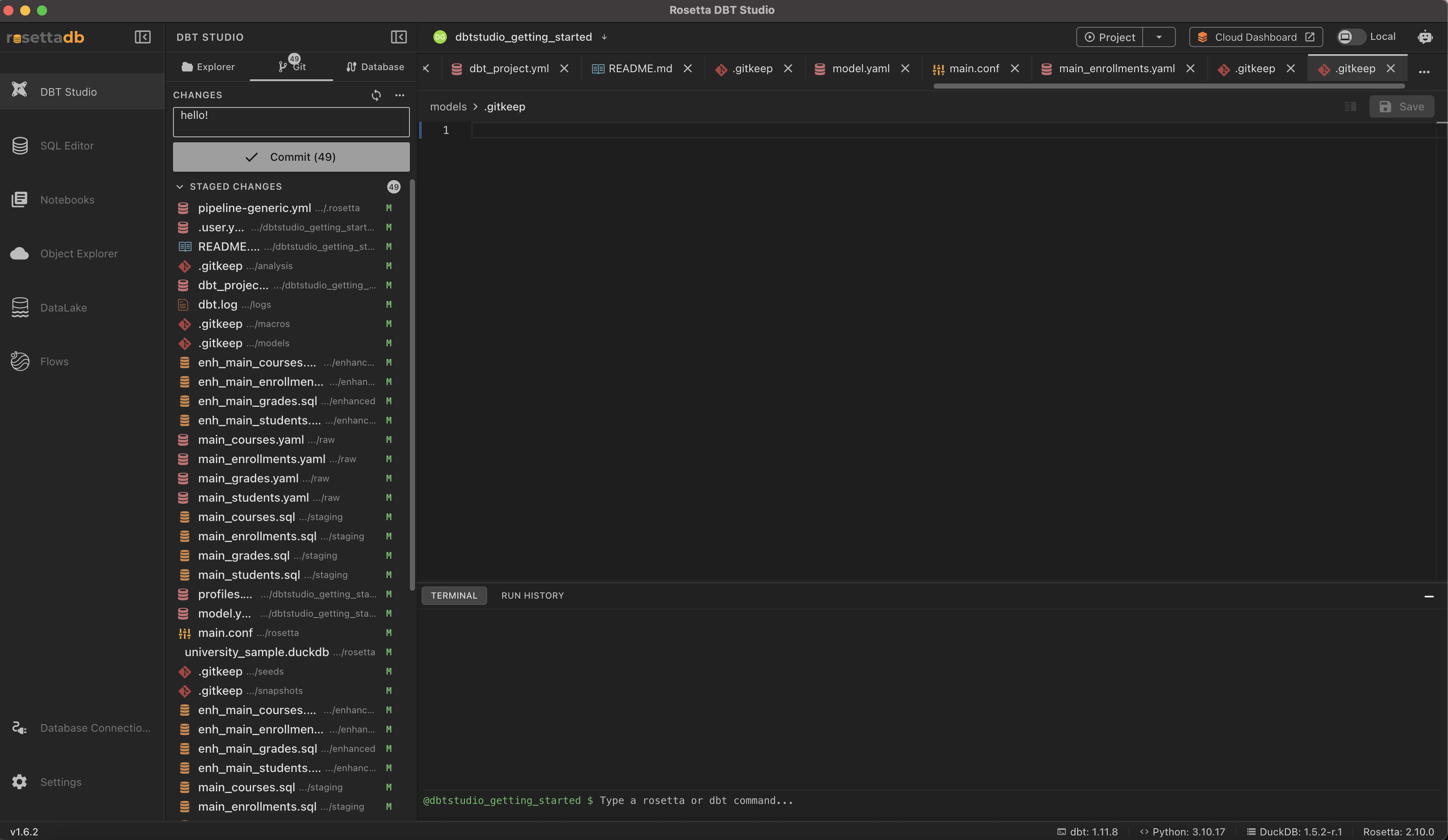 Git panel with staged changes